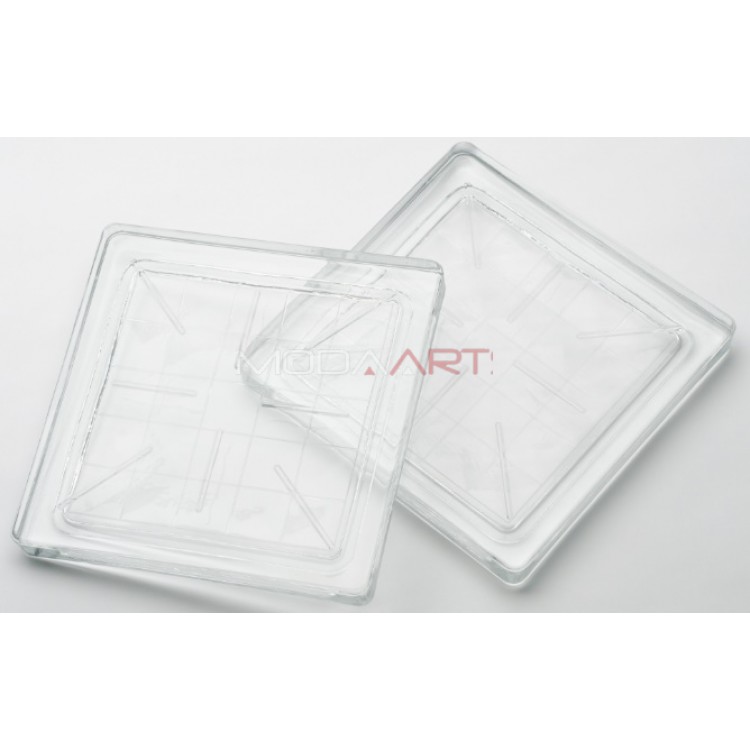Cam Parke 20x20cm Kareli